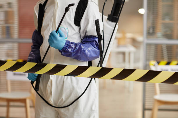 Professional Hoarding Cleanup technician working in Eden, NC